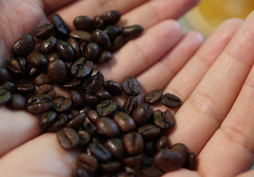 The Ultimate Guide to Using Leftover Coffee Grinds