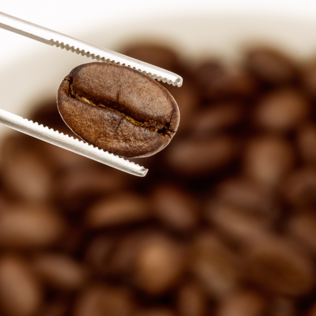 Discover the Roast Spectrum:  Light, Medium & Dark Coffee