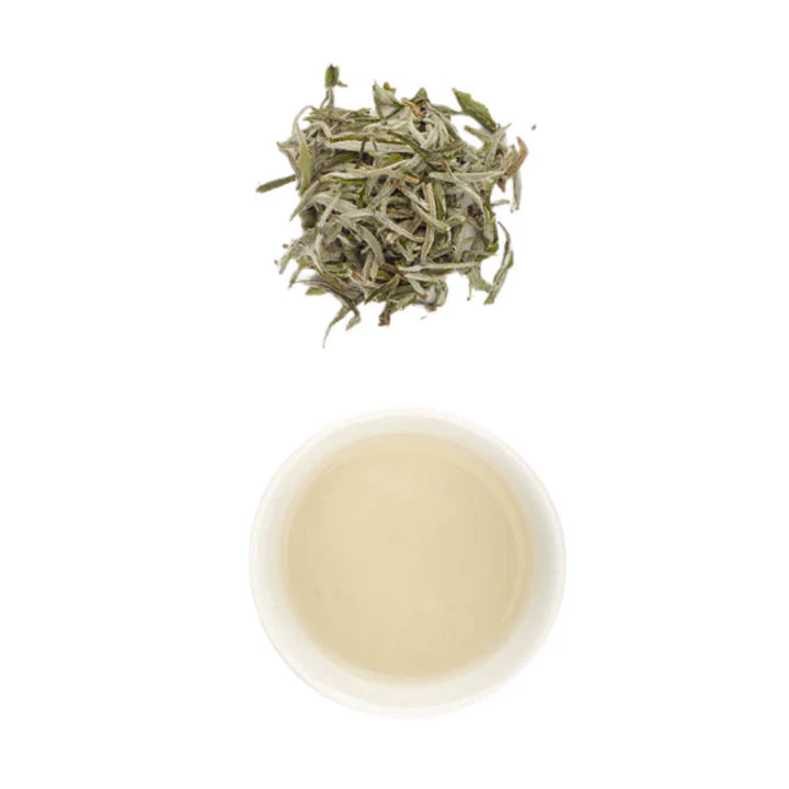 T-bar Silver Needles Premium White Tea