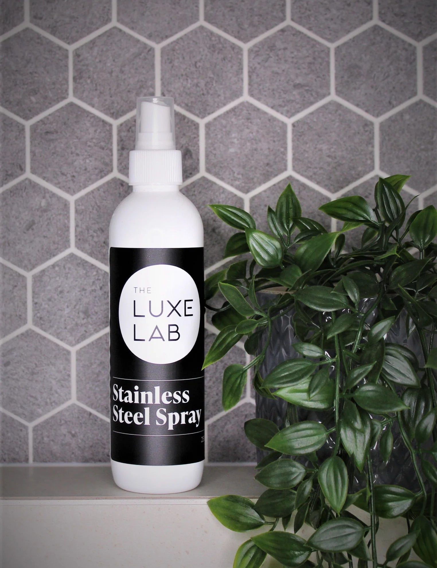 TheLuxeLabStainlessSteelPolish250ml-withgreenry_1024x1024_2x_35ceed23-2239-408c-a05f-2801d47e0f66.webp