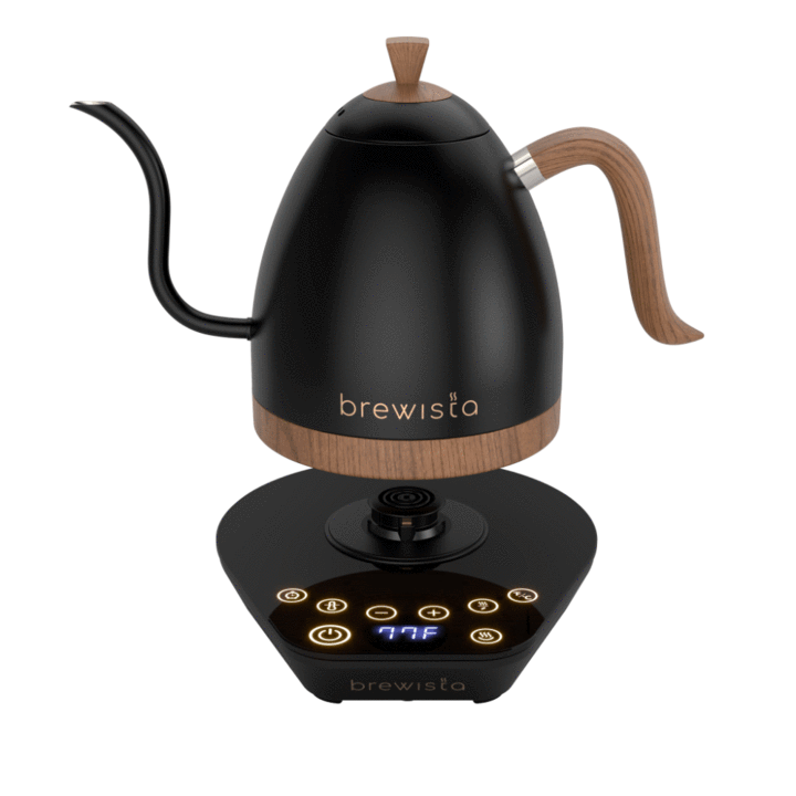 Brewista Artisan 1.0L Kettle - Matte Black